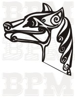 /album/fotogaleria-celtic/celtic-28-jpg/